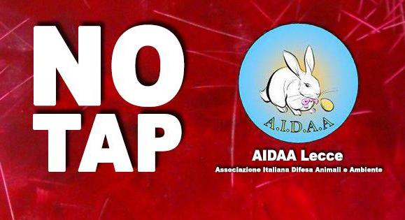 AIDAA NO TAP by Serena Orlando